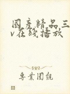 国产精品三级av在线播放