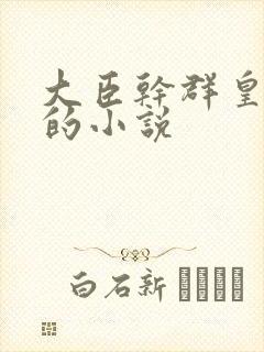 大臣干群皇太后的小说