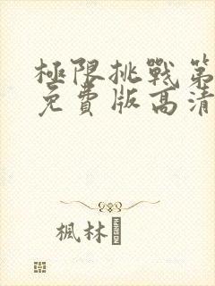 极限挑战第五季免费版高清