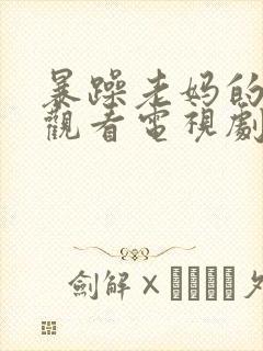 暴躁老妈的免费观看电视剧封面