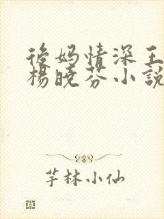 后妈情深王磊与杨晓芬小说