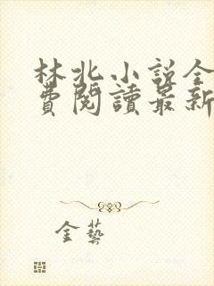 林北小说全文免费阅读最新章节封面