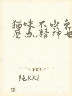 猫咪不吃东西怎么办,精神也不好呕吐