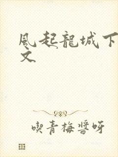 风起龙城下载全文