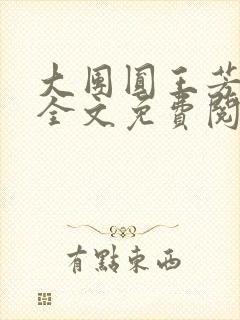 大团圆王芳高敏全文免费阅读封面