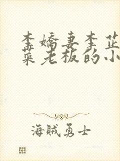 李娇妻李芷珊和菜老板的小说