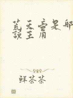 荒天帝是哪部小说主角