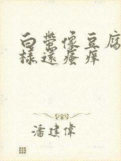 白带像豆腐渣一样还瘙痒