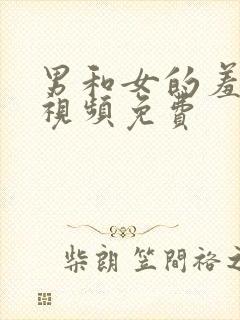 男和女的羞羞事视频免费