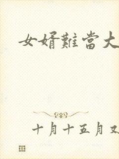 女婿难当大结局