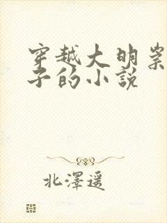 穿越大明崇祯儿子的小说