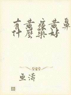 有黄痰黄鼻涕吃什么药好