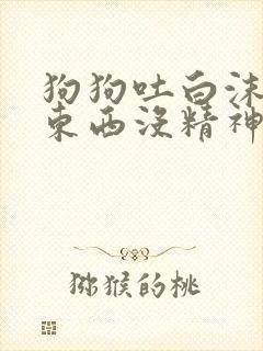 狗狗吐白沫不吃东西没精神吃什么药封面