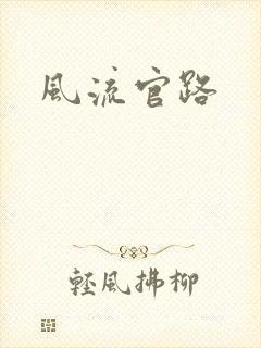 风流官路