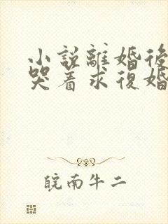 小说离婚后前夫哭着求复婚在线阅读