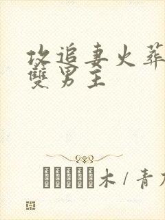 攻追妻火葬场的双男主