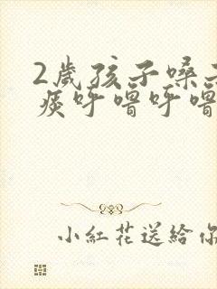 2岁孩子嗓子有痰呼噜呼噜的怎么办