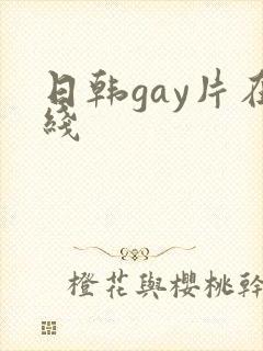 日韩gay片在线