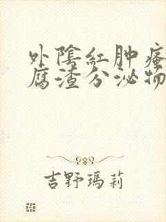 外阴红肿瘙痒豆腐渣分泌物