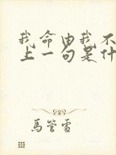 我命由我不由天上一句是什么