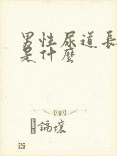 男性尿道长水泡是什么封面