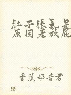 肚子胀气是什么原因老放屁