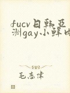 fucv日韩亚洲gay小鲜肉