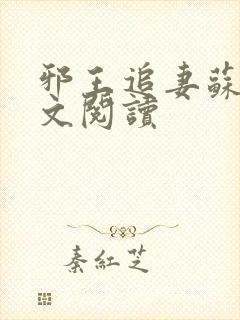 邪王追妻苏落全文阅读