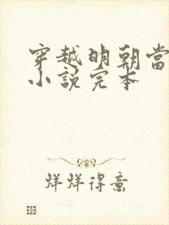 穿越明朝当皇帝小说完本