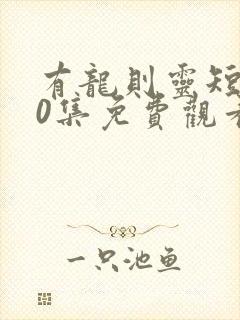 有龙则灵短剧70集免费观看