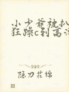小少爷被扒开腿狂躁c到高潮