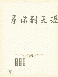 寻你到天涯