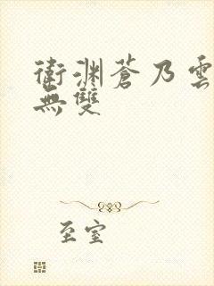 卫渊苍乃云世子无双封面