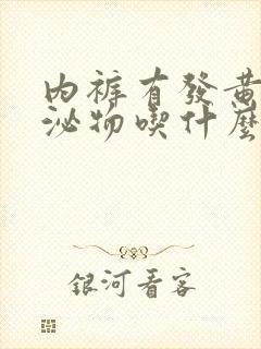 内裤有发黄的分泌物吃什么药