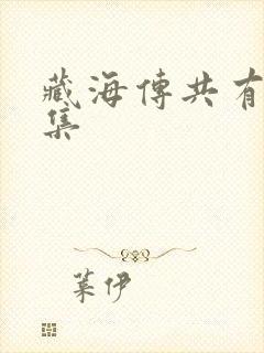 藏海传共有多少集