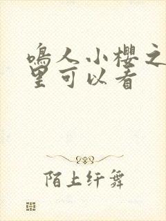 鸣人小樱之夜哪里可以看