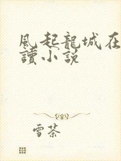风起龙城在线阅读小说