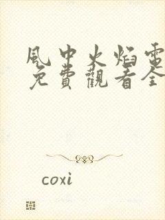 风中火焰电视剧免费观看全集