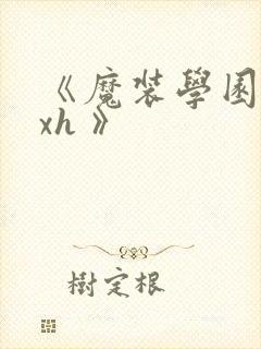 《魔装学园 hxh 》