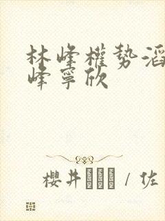 林峰权势滔天林峰宁欣封面