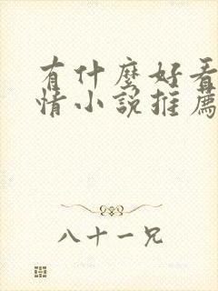 有什么好看的言情小说推荐