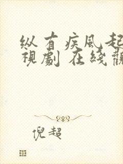 纵有疾风起 电视剧 在线观看