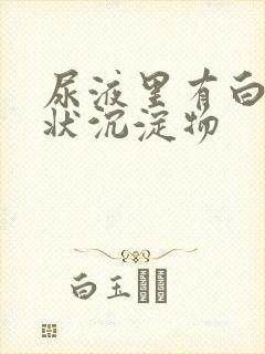 尿液里有白色絮状沉淀物