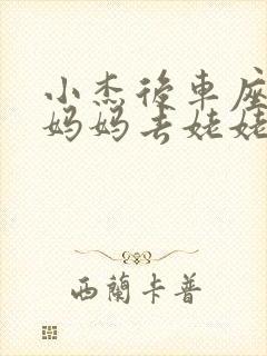 小杰后车座抱着妈妈去姥姥家搬家封面