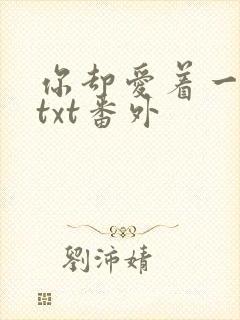 你却爱着一个他txt番外