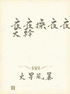 夜夜操夜夜爽天天干封面