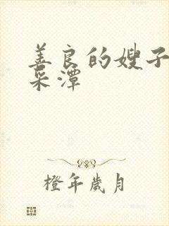 善良的嫂子3李采潭封面