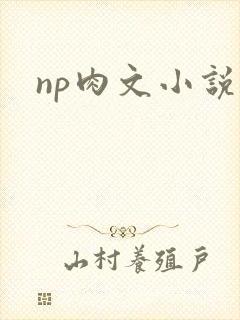 np肉文小说