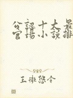 公认十大最好看官场小说排名