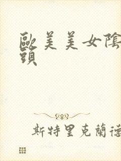 欧美美女阴道奶头